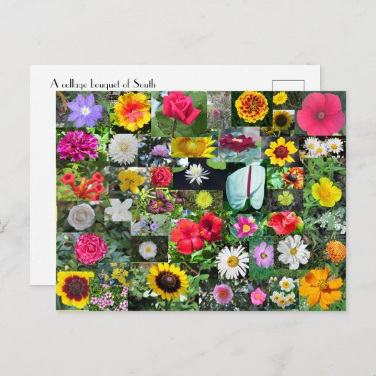 Carte postale Collage de fleurs (Devant / Derrière)