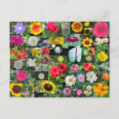 Carte postale Collage de fleurs (Devant)