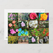 Carte postale Collage de fleurs (Devant / Derrière)