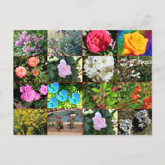 Carte postale Collage de fleurs (Devant)