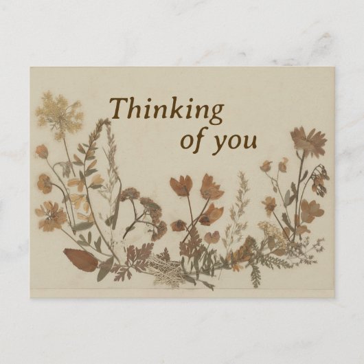 Carte Postale Collage de fleurs anciennes (Devant)