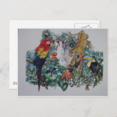 Carte Postale Collage de la faune de la forêt tropicale (Devant / Derrière)