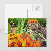 Carte Postale Collage de la fête de Thanksgiving avec un chat et (Devant / Derrière)