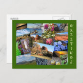 Carte Postale Collage de la nature et de la faune (Devant / Derrière)