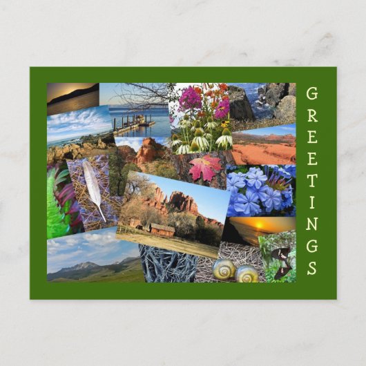 Carte Postale Collage de la nature et de la faune (Devant)