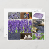Carte Postale Collage de lavande tropicale (Devant / Derrière)