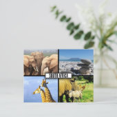 Carte Postale Collage de photos de la faune en Afrique du Sud (Debout devant)