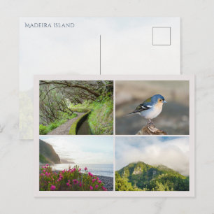 Carte Postale Collage de photos de l'île de Madère, voyage moder