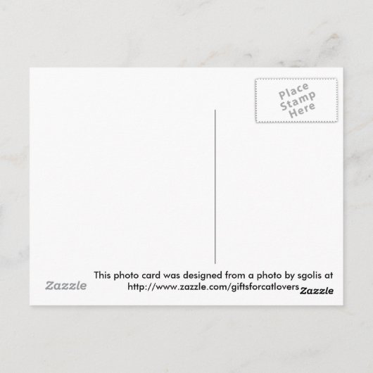 Carte Postale Collage de remerciements / Action de grâce de chat (Dos)