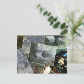 Carte Postale Collage de tortue (Debout devant)