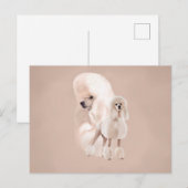 Carte Postale Collage de White Poodle Pastel (Devant / Derrière)