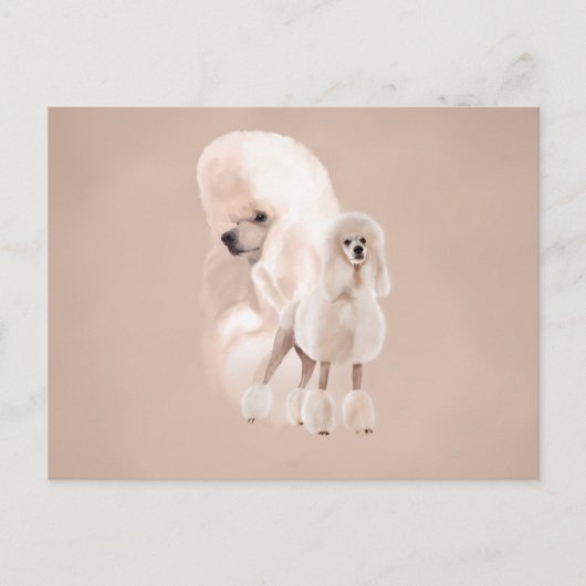 Carte Postale Collage de White Poodle Pastel (Devant)