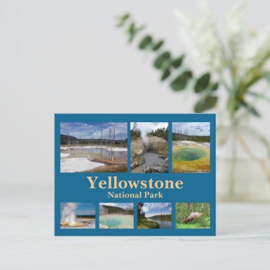 Carte Postale Collage de Yellowstone 3 (Debout devant)