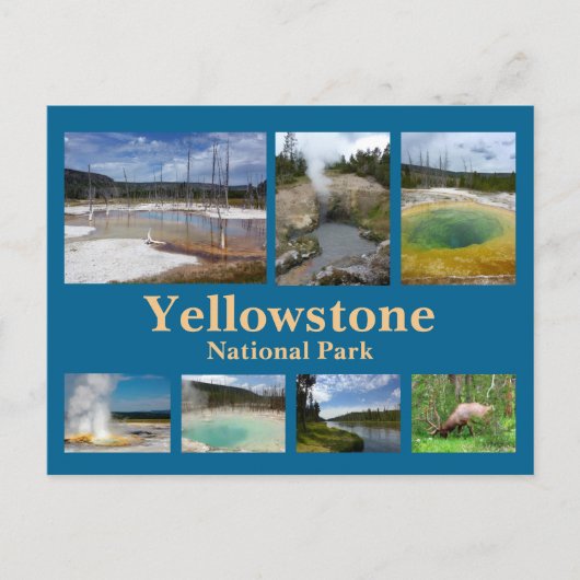 Carte Postale Collage de Yellowstone 3 (Devant)