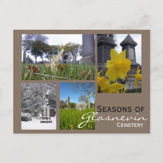 Carte Postale Collage des saisons de Glasnevin (Devant)