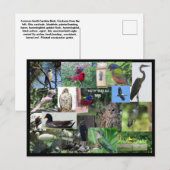 Carte postale Collage d'espèces d'oiseaux de Carol (Devant / Derrière)