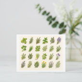 Carte Postale Collage d'herbes (Debout devant)