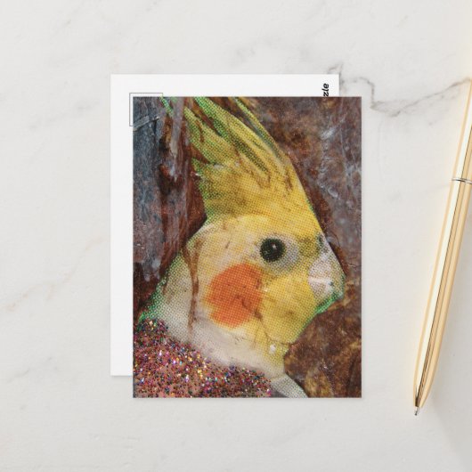 Carte Postale Collage d'oiseau (Devant/Arrière en situation)