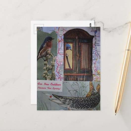 Carte Postale Collage d'oiseaux et de poissons (Devant/Arrière en situation)