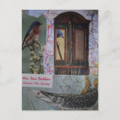 Carte Postale Collage d'oiseaux et de poissons (Devant)