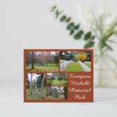 Carte Postale Collage du cimetière à feuillage persistant de Was (Debout devant)
