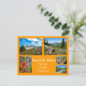 Carte Postale Collage du mont St. Helens (Debout devant)