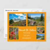 Carte Postale Collage du mont St. Helens (Devant / Derrière)