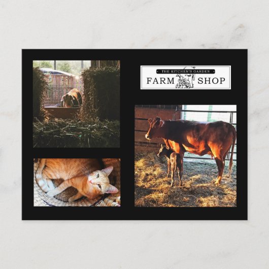 Carte postale Collage Jardin de cuisine (Devant)