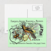 Carte Postale Collage jaune vintage d'oiseau et d'abeille (Devant / Derrière)