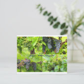 Carte postale Collage JAV 2013 9 (Debout devant)