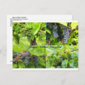 Carte postale Collage JAV 2013 9 (Devant / Derrière)