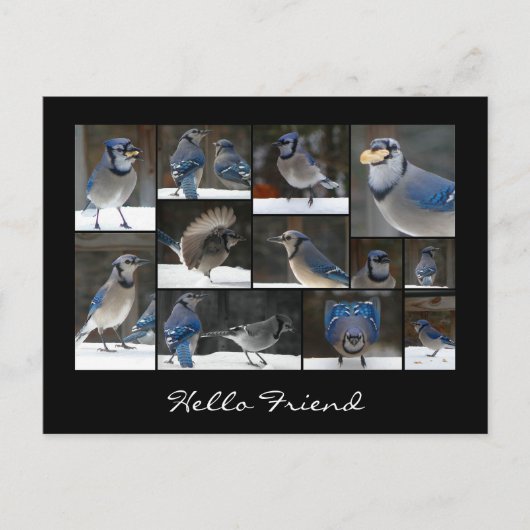 Carte postale Collage Jay bleu (Devant)