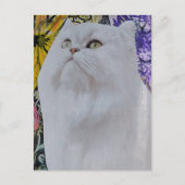 Carte Postale Collage multimédia chat blanc dans les fleurs (Devant)