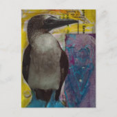 Carte Postale Collage multimédia d'oiseau à pattes bleues (Devant)