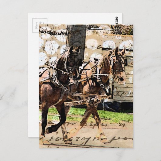 Carte Postale Collage multimédia mixte de l'équipe de deux cheva (Devant / Derrière)