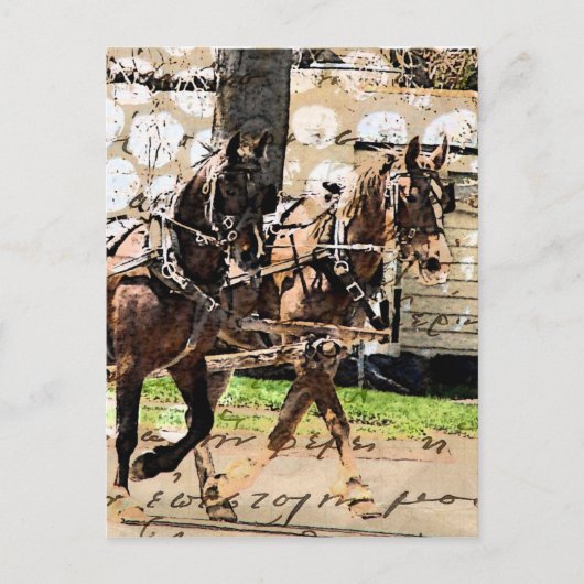 Carte Postale Collage multimédia mixte de l'équipe de deux cheva (Devant)