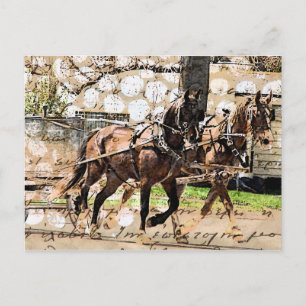 Carte Postale Collage multimédia mixte de l'équipe de deux cheva