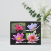 Carte postale Collage Nénuphar SG #1N 1100 (Debout devant)