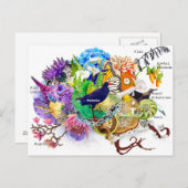 Carte Postale collage néo-zélandais (Devant / Derrière)