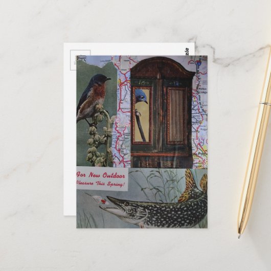 Carte Postale Collage Oiseaux et Poissons Rétro (Devant/Arrière en situation)