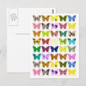 Carte Postale Collage papillon (Devant / Derrière)
