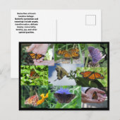 Carte postale Collage papillon (Devant / Derrière)