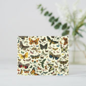 Carte Postale Collage papillon (Debout devant)