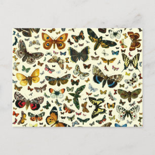 Carte Postale Collage papillon