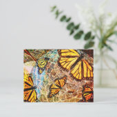 Carte Postale collage papillon (Debout devant)