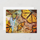Carte Postale collage papillon (Devant / Derrière)