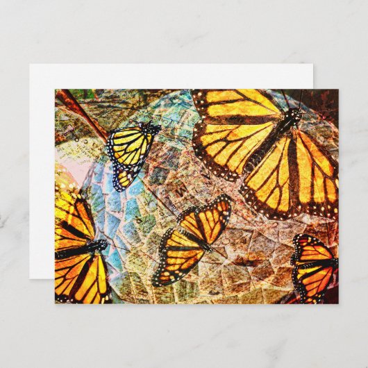 Carte Postale collage papillon (Devant / Derrière)