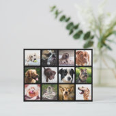 Carte postale Collage photo de chiens mignons et a (Debout devant)