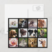 Carte postale Collage photo de chiens mignons et a (Devant / Derrière)