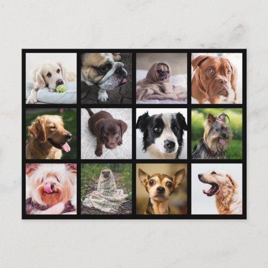 Carte postale Collage photo de chiens mignons et a (Devant)